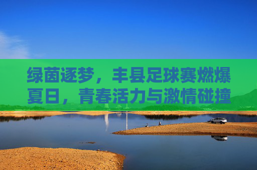 绿茵逐梦,丰县足球赛燃爆夏日,青春活力与激情碰撞