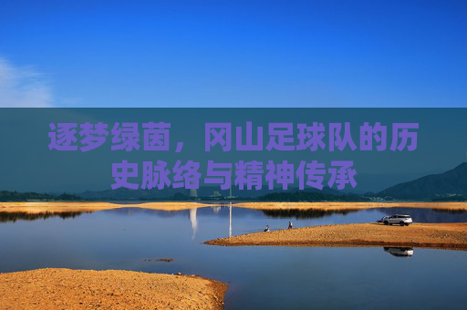 逐梦绿茵,冈山足球队的历史脉络与精神传承