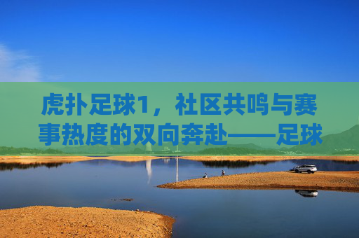 虎扑足球1,社区共鸣与赛事热度的双向奔赴——足球迷的数字家园与情感栖息地