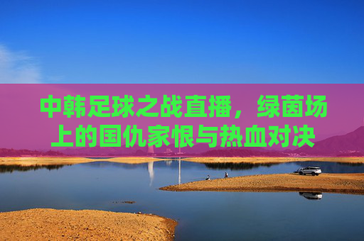 中韩足球之战直播，绿茵场上的国仇家恨与热血对决