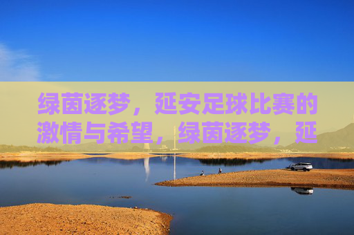 绿茵逐梦,延安足球比赛的激情与希望,绿茵逐梦,延安足球比赛的激情与希望