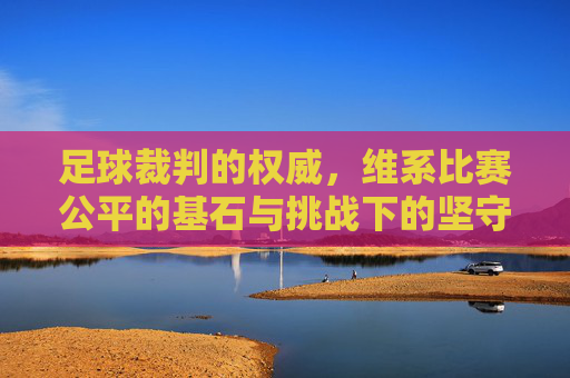 足球裁判的权威,维系比赛公平的基石与挑战下的坚守