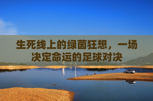 生死线上的绿茵狂想,一场决定命运的足球对决