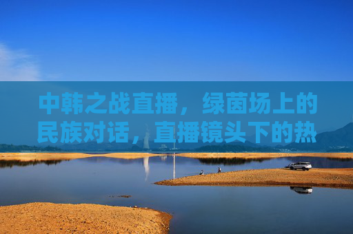 中韩之战直播，绿茵场上的民族对话，直播镜头下的热血与荣耀