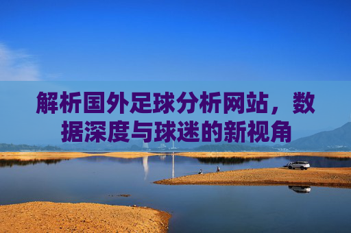 解析国外足球分析网站，数据深度与球迷的新视角