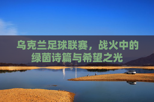 乌克兰足球联赛,战火中的绿茵诗篇与希望之光