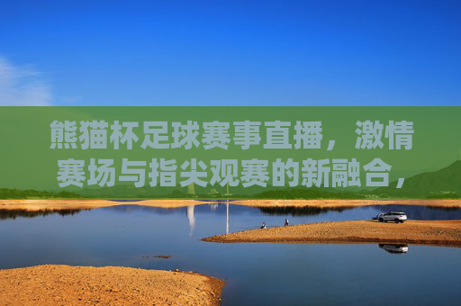 熊猫杯足球赛事直播,激情赛场与指尖观赛的新融合,熊猫杯足球赛事直播,激情赛场与指尖观赛的新融合