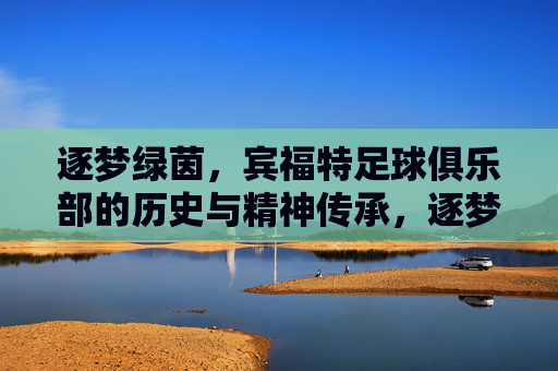 逐梦绿茵，宾福特足球俱乐部的历史与精神传承，逐梦绿茵，宾福特足球俱乐部的历史与精神传承