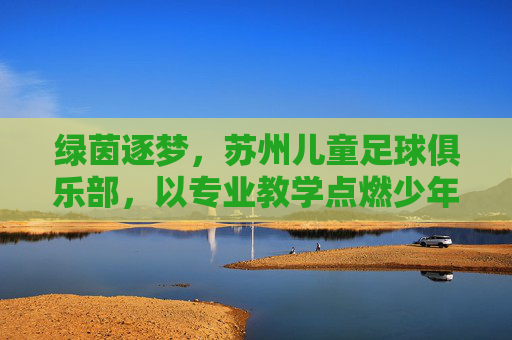 绿茵逐梦,苏州儿童足球俱乐部,以专业教学点燃少年足球热情,为体育未来筑梦