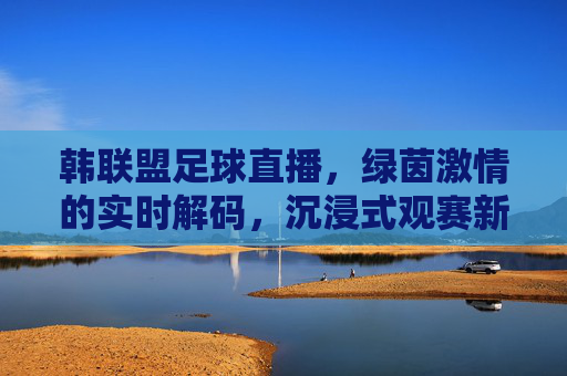 韩联盟足球直播，绿茵激情的实时解码，沉浸式观赛新体验，韩联盟足球直播，绿茵激情实时解码，沉浸式观赛新体验