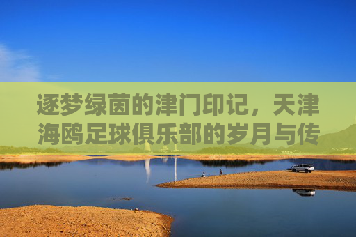 逐梦绿茵的津门印记,天津海鸥足球俱乐部的岁月与传承
