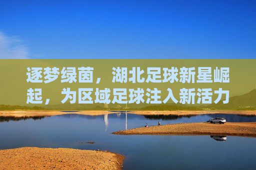 逐梦绿茵，湖北足球新星崛起，为区域足球注入新活力，逐梦绿茵，湖北足球新星崛起，为区域足球注入新活力
