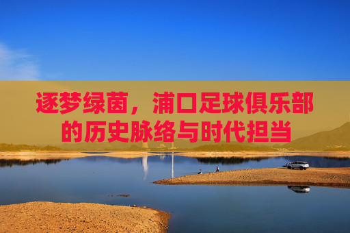 逐梦绿茵,浦口足球俱乐部的历史脉络与时代担当