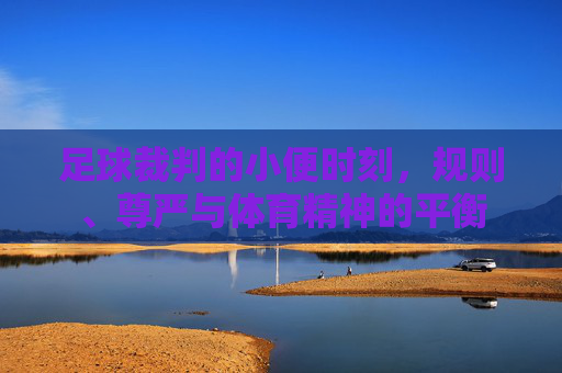 足球裁判的小便时刻，规则、尊严与体育精神的平衡