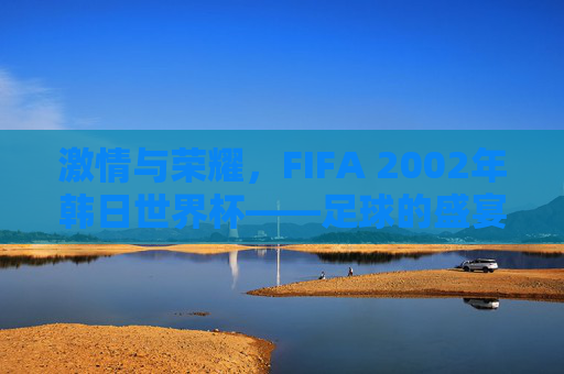 激情与荣耀,FIFA 2002年韩日世界杯——足球的盛宴与历史的回响