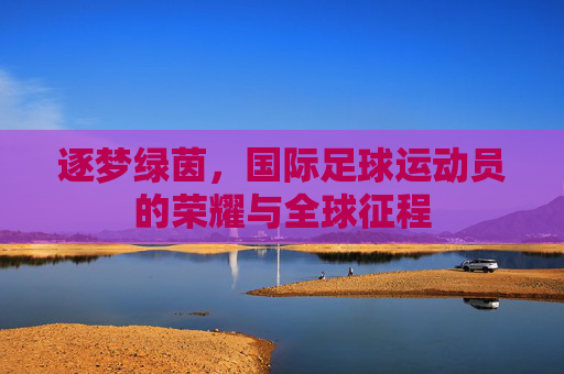 逐梦绿茵，国际足球运动员的荣耀与全球征程