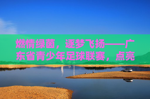 燃情绿茵，逐梦飞扬——广东省青少年足球联赛，点亮少年足球梦想，铸就未来足球之星