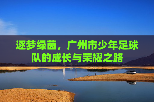 逐梦绿茵,广州市少年足球队的成长与荣耀之路