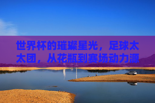世界杯的璀璨星光，足球太太团，从花瓶到赛场动力源的华丽转身，世界杯太太团，从花瓶到赛场动力源的华丽蜕变