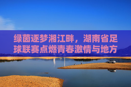 绿茵逐梦湘江畔，湖南省足球联赛点燃青春激情与地方足球活力