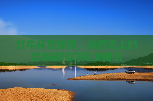 红牛杯足球赛,绿茵场上的青春碰撞与热血传承