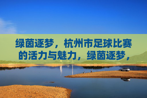 绿茵逐梦,杭州市足球比赛的活力与魅力,绿茵逐梦,杭州市足球比赛的活力与魅力