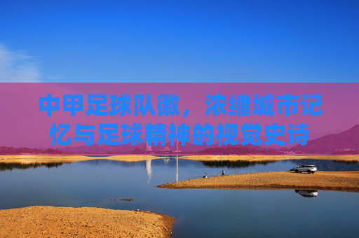 中甲足球队徽,浓缩城市记忆与足球精神的视觉史诗