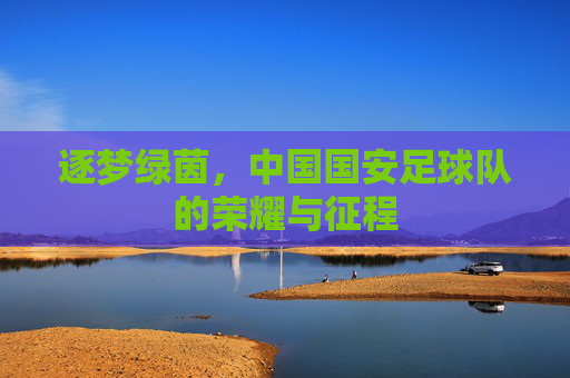 逐梦绿茵,中国国安足球队的荣耀与征程