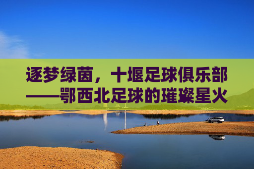 逐梦绿茵，十堰足球俱乐部——鄂西北足球的璀璨星火与时代征程