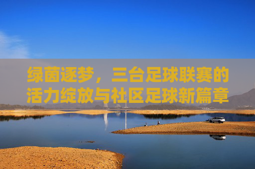 绿茵逐梦，三台足球联赛的活力绽放与社区足球新篇章，绿茵逐梦，三台足球联赛的活力绽放与社区足球新篇章