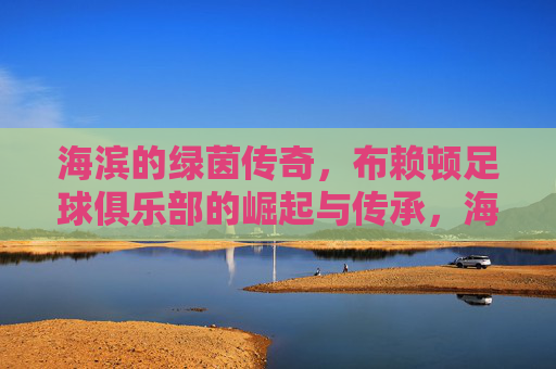 海滨的绿茵传奇,布赖顿足球俱乐部的崛起与传承,海滨的绿茵传奇,布赖顿足球俱乐部的崛起与传承