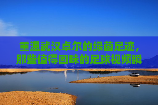 重温武汉卓尔的绿茵足迹,那些值得回味的足球视频瞬间