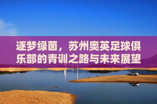 逐梦绿茵，苏州奥英足球俱乐部的青训之路与未来展望