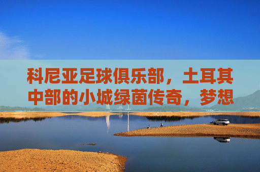 科尼亚足球俱乐部，土耳其中部的小城绿茵传奇，梦想与坚韧的足球印记，科尼亚足球俱乐部，土耳其中部小城的绿茵传奇与梦想坚韧印记