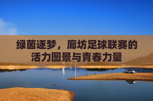 绿茵逐梦，廊坊足球联赛的活力图景与青春力量