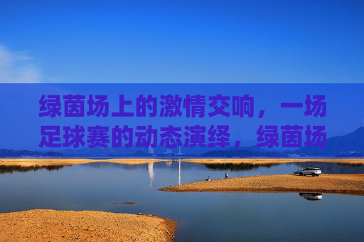 绿茵场上的激情交响,一场足球赛的动态演绎,绿茵场上的激情交响,一场足球赛的动态演绎