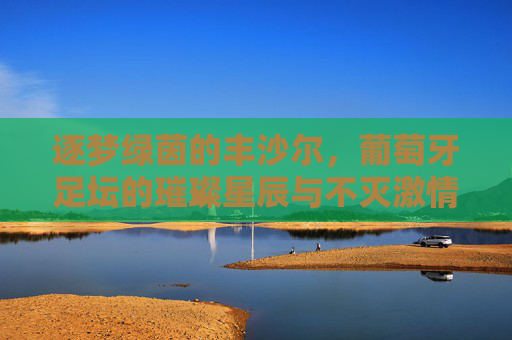逐梦绿茵的丰沙尔,葡萄牙足坛的璀璨星辰与不灭激情