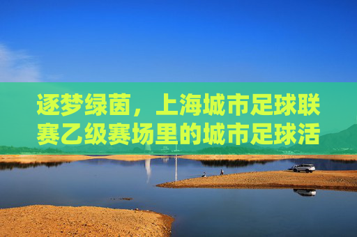 逐梦绿茵,上海城市足球联赛乙级赛场里的城市足球活力密码