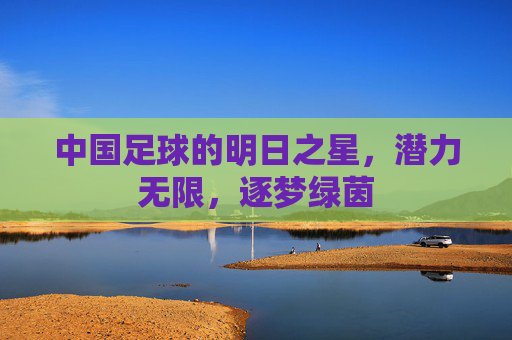 中国足球的明日之星,潜力无限,逐梦绿茵
