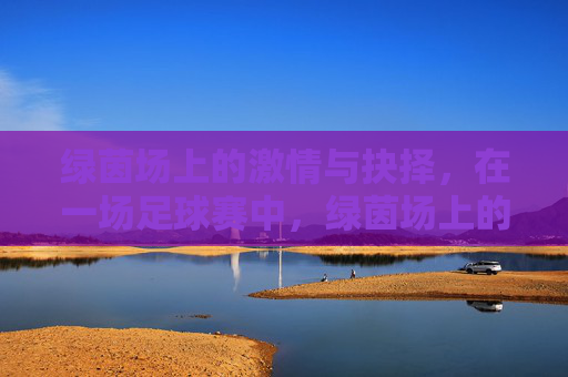 绿茵场上的激情与抉择，在一场足球赛中，绿茵场上的激情与抉择，一场足球赛中的抉择瞬间