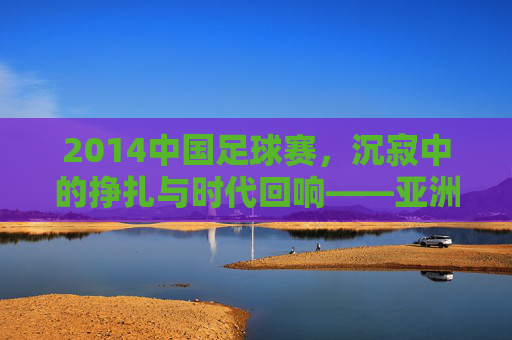 2014中国足球赛,沉寂中的挣扎与时代回响——亚洲杯失利与中超的无奈