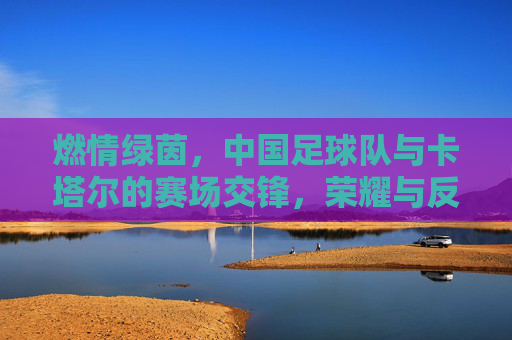 燃情绿茵，中国足球队与卡塔尔的赛场交锋，荣耀与反思交织的足球故事，燃情绿茵，中国足球队与卡塔尔的赛场交锋，荣耀与反思交织的足球故事
