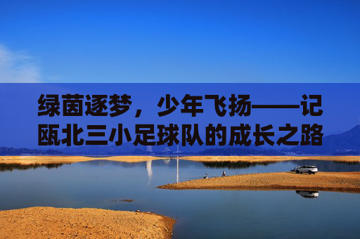 绿茵逐梦,少年飞扬——记瓯北三小足球队的成长之路,绿茵逐梦,少年飞扬——记瓯北三小足球队的成长之路