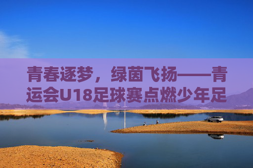 青春逐梦,绿茵飞扬——青运会U18足球赛点燃少年足球激情与未来希望,青春逐梦,绿茵飞扬——青运会U18足球赛点燃少年足球激情与未来希望