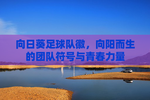 向日葵足球队徽，向阳而生的团队符号与青春力量