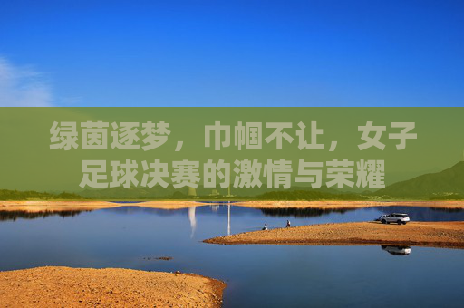 绿茵逐梦，巾帼不让，女子足球决赛的激情与荣耀