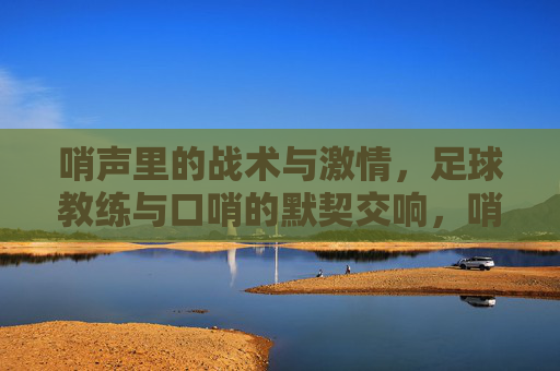 哨声里的战术与激情，足球教练与口哨的默契交响，哨声里的战术与激情，足球教练与口哨的默契交响