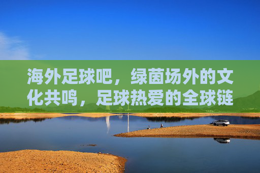 海外足球吧，绿茵场外的文化共鸣，足球热爱的全球链接