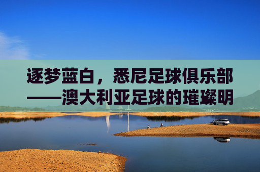 逐梦蓝白,悉尼足球俱乐部——澳大利亚足球的璀璨明珠与城市精神的缩影