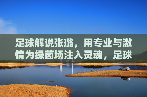 足球解说张璐，用专业与激情为绿茵场注入灵魂，足球解说张璐，以专业与激情为绿茵场注入灵魂